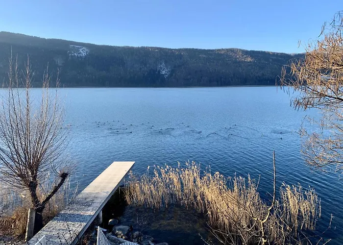 Seefels דובריאך